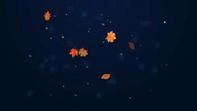 唯美秋天金色枫叶视频AE模板视频的预览图